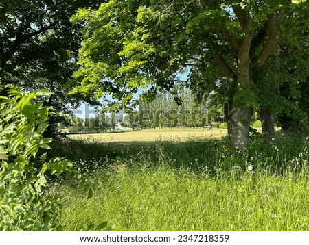 View between old trees, with fields and buildings, in the distance on, Moor Top, Dewsbury, UK