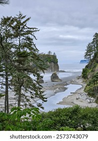 View between trees to Ruby Beach, WA 