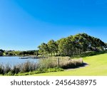 A view of Bicentennial Park, a relaxing spot for picnics in Sydney, Australia.