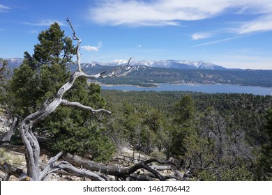 View of Big Bear Lake from the Pacific Crest Trail, California