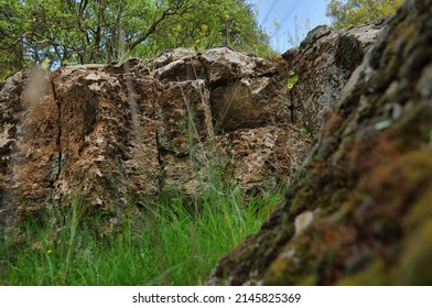 20,650 Forest pit Images, Stock Photos & Vectors | Shutterstock