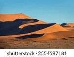 View of Big Mamma sand dune curves at sunrise in Sossusvlei, Namib Naukluft national park, Namibia scenic landscape, Africa