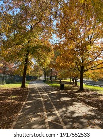 A View Of A Bike Path Surrounded By Trees In The Autumn In Manhattan, New York City