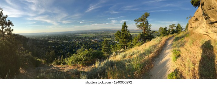 View of Billings, MT