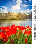 view of Binnenhof - Dutch Parliament at spring with tulip flowers, The Hague, Holland