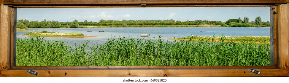 View from a bird hide