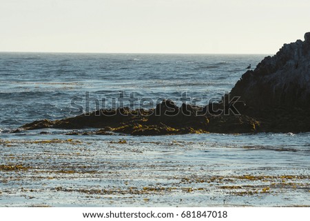 Similar – drained Beach Nature Sand