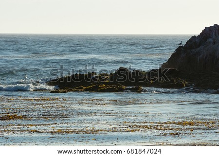 Similar – drained Beach Nature Sand