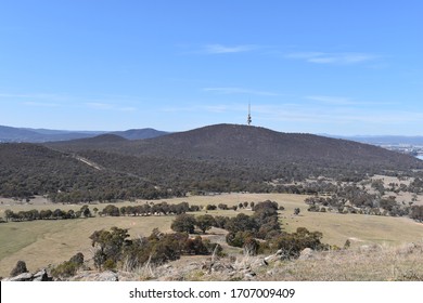 View Of Black Mountain From Mount Painter, Canberra.