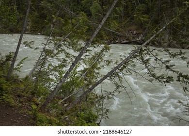 View Of Blaeberry River In British Columbia,Canada,North America
