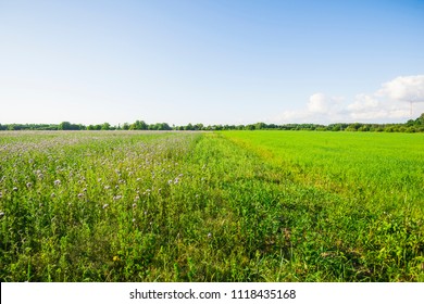 Zoom Background 图片 库存照片和矢量图 Shutterstock