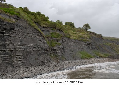 View Of The Blue Lias Cliff At Lyme Regis In Dorset Which Is Famous For Fossil Hunting