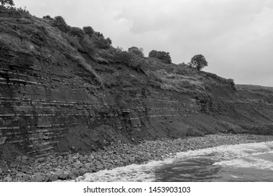 View Of The Blue Lias Cliff At Lyme Regis In Dorset Which Is Famous For Fossil Hunting