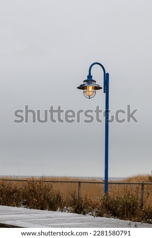 view of a blue metal retro looking lamp post outside during fall on a cloudy day
