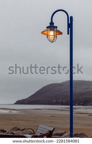 view of a blue metal retro looking lamp post next to a paved road  during fall on a cloudy day with a beach behind
