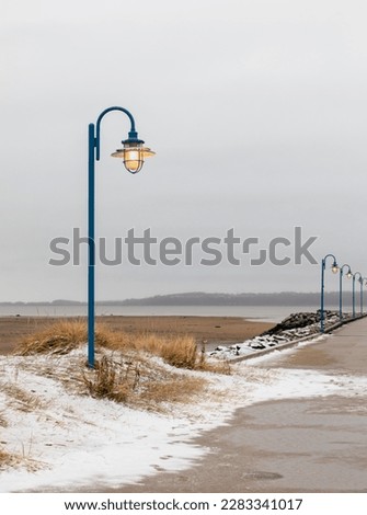 view of a blue metal retro looking lamp post next to a paved road  during fall on a cloudy day