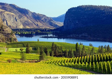View of Blue Mountain Vineyard with McIntyre Bluff and Vaseux Lake in the background located in the Okanagan Valley in Okanagan Falls, British Columbia, Canada. - Shutterstock ID 2055908891
