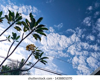 view in the blue sky