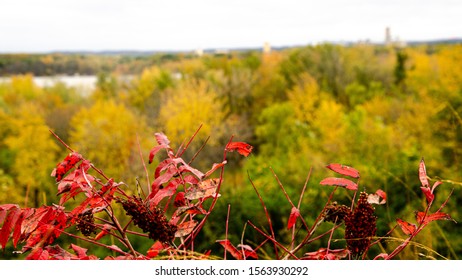 View From Bluffs In Eden Prairie