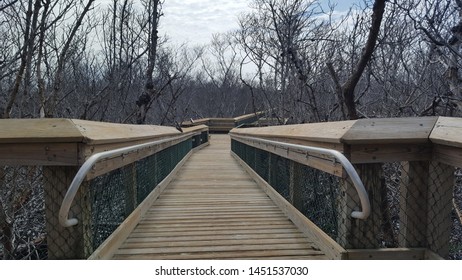 View Of Boardwalk At Long Key State Park