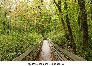 View of a boardwalk trail at Great Swamp National Wildlife Refuge, New Jersey - Shutterstock ID 1830803159