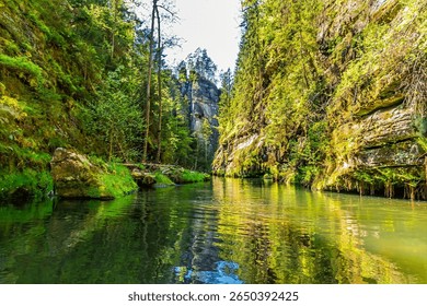 A view from a boat along the navigable section of the Kamenice river in Czech Switzerland in springtime