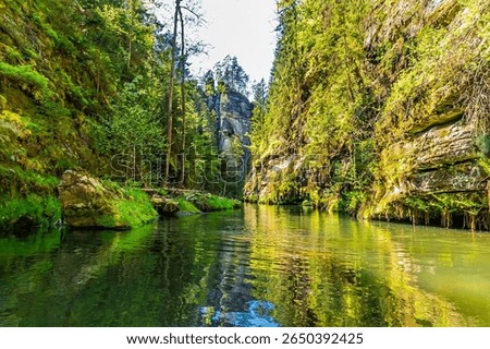 A view from a boat along the navigable section of the Kamenice river in Czech Switzerland in springtime