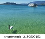 View of boat, swan and lake on the Lake of Biel, Switzerland.