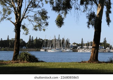 View of boats at the Gladstone Marina framed by trees in Queensland, Australia - Shutterstock ID 2268085865