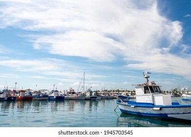 VIEW OF BOATS IN THE PORT OF SANTA POLA AND A SEAGULL ON TOP OF A BOAT ABOVE. ON A SUNNY SATURDAY MORNING, SPAIN