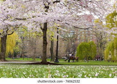 View Of Boston Public Garden In Boston, Massachusetts - USA In The Spring Season.