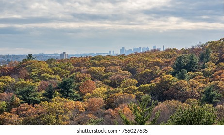 View Of The Boston Skyline From Middlesex Fells (Melrose, MA) With Fall Foliage.