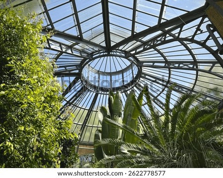 View from Botanical garden in Amsterdam
