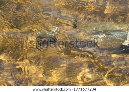 View of the bottom of a yellow pond through the water. Transparent water in the river. The bottom of the river is yellow.Abstract background water with waves. 