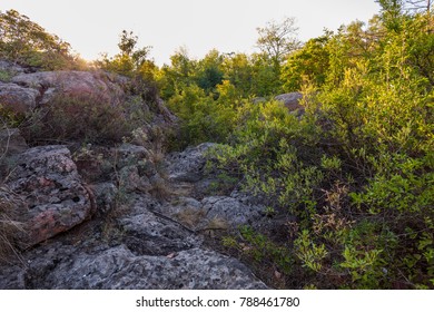 A view of the boulders surrounded by a dense forest in the rays of sunrise.