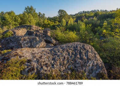 A view of the boulders surrounded by a dense forest in the rays of sunrise.