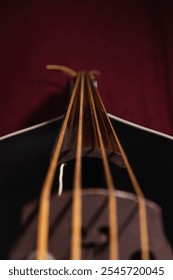 View from the bridge to the headstock, with the bridge in the foreground, strings, and selectively focused fingerboard. Concept for music, double bass, rockabilly, rock 'n' roll, and jazz