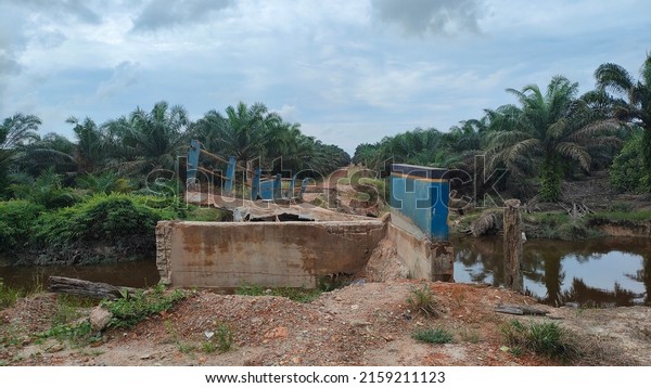View of the Broken Bridge in\
an oil palm plantation. At that time the sky was very clear. In\
Cempaga Hulu, Central Kalimantan Province, Indonesia, on May 22,\
2022.