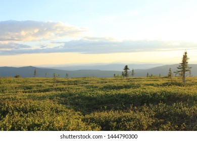 View Of Brooks Range At Midnight