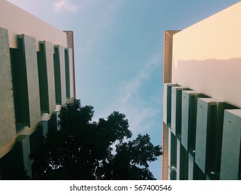 View of the building.
