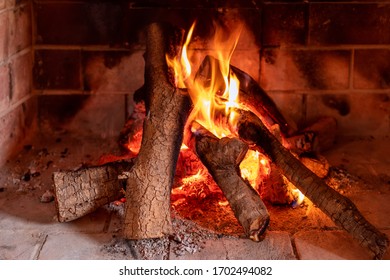View of a burning fireplace. Texture of a burning tree. Bright fire