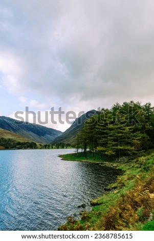 View of Buttermere lake next to forest in Lake District in autumn
