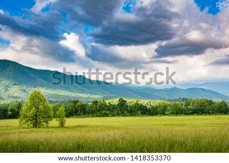 A view from Cades Cove loop in the Great Smoky Mountains National Park