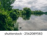 view of a calm lake in summer and trees with green leaves with clouds in the sky