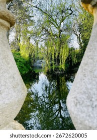 View of a calm stream from a unique perspective. 