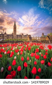 View Of Canada Parliament Building In Ottawa During Tulip Festival