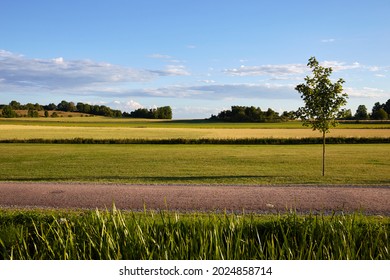 View From Göta Canal Fields 