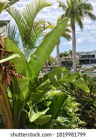 View Of The Canal In Sanctuary Cove Australia