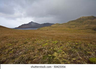 View Of Cape Horn, Tierra Del Fuego