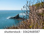 View of Cape Split, Nova Scotia framed by branches